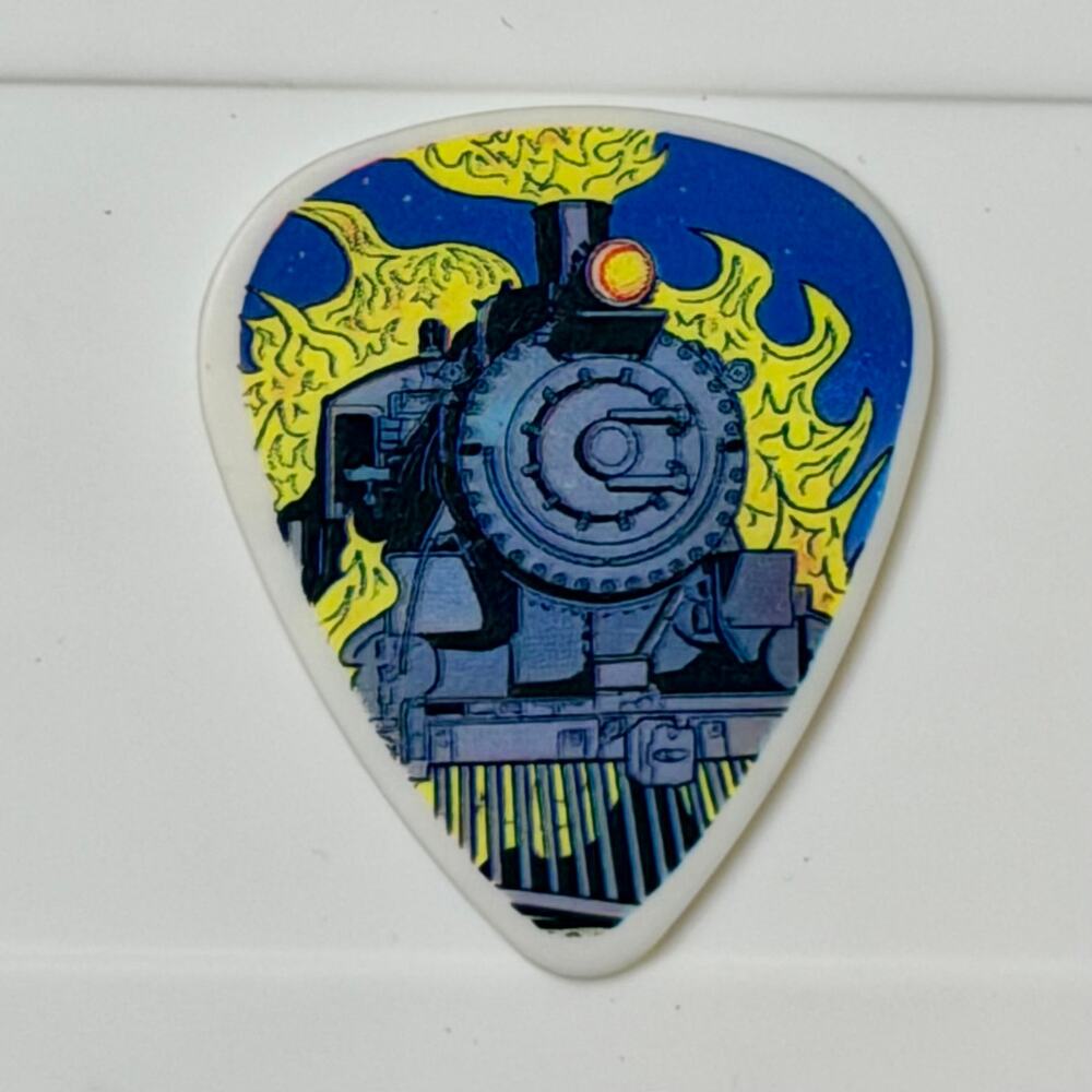 Authentic 2010 Pearl Jam Backspacer Tour Guitar Pick.